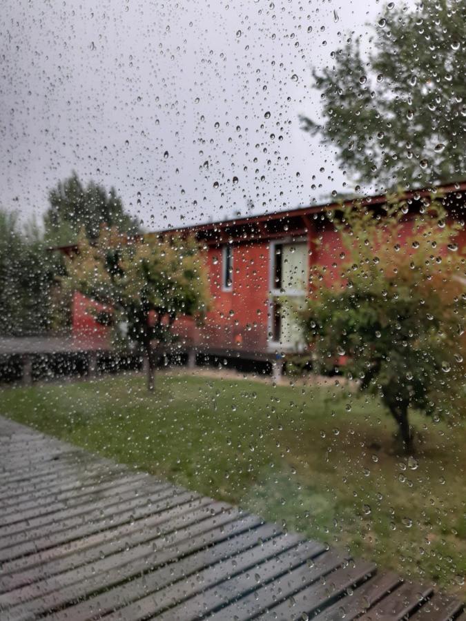 Vagones De La Patagonia Daire El Calafate Dış mekan fotoğraf